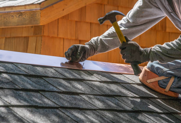 Best Gutter Installation and Repair  in Wapello, IA
