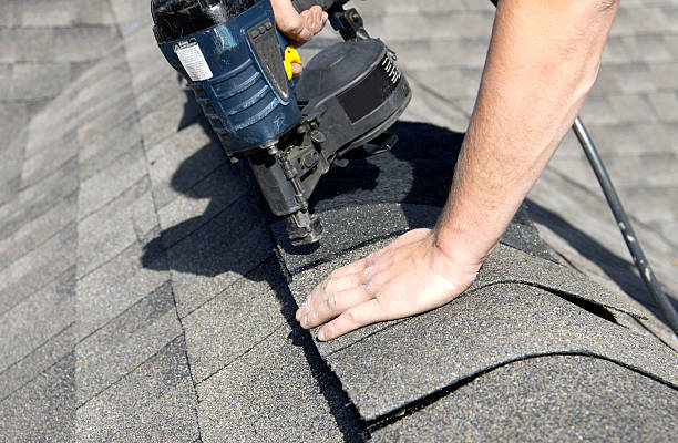 Best Metal Roofing Installation  in Wapello, IA