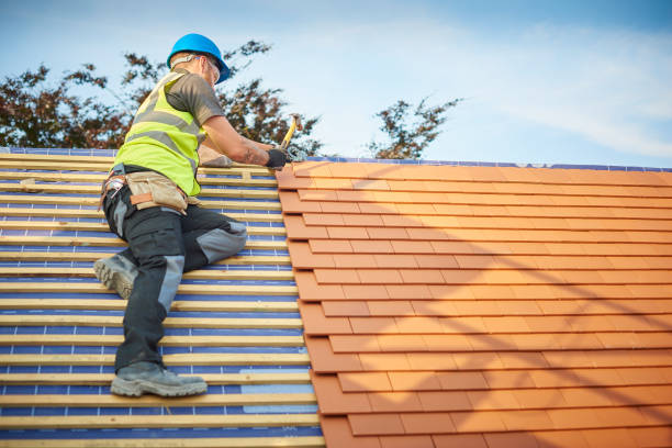 Best Roofing for New Construction  in Wapello, IA